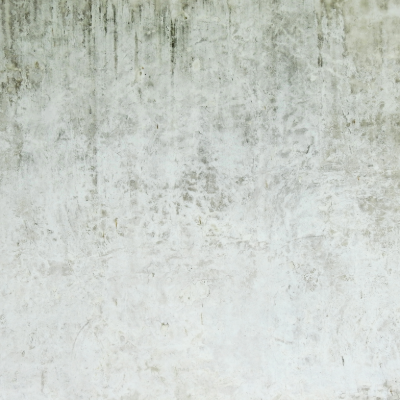 外壁のカビ・こけ